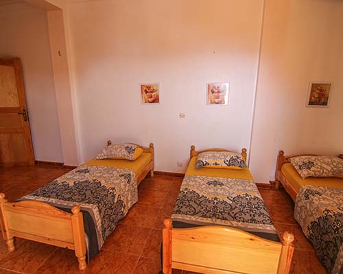 website design,klickhier,klick hier,web mit pep,webseiten,domain,ionos,hosting,server,baukasten,erstellung,betreuung,renovierung,cheap,billig,free,kostenlos,schnell,deutsch,hannover,deutschland,professionell,web designer,web visitenkarte,seo,suchmaschienenoptimierung,e-mail adresse